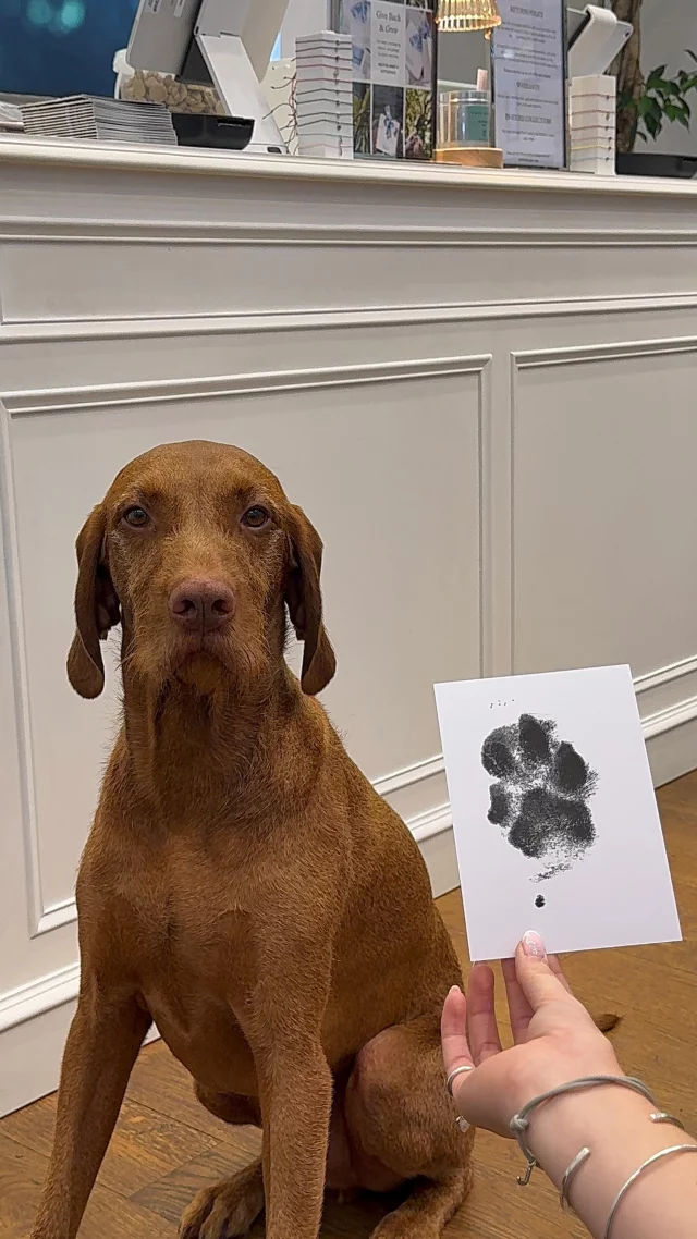 Cuteness overload! 🐾

We headed over to @danielladraper to find out more about their wholesome paw print engraving service. Handcrafted with care, capture your pet’s unique paw print and have it engraved onto jewellery including rings, necklaces and charms!

You can do this in-store or at home, head over to the Daniella Draper store in Victoria Quarter to find out more ✨