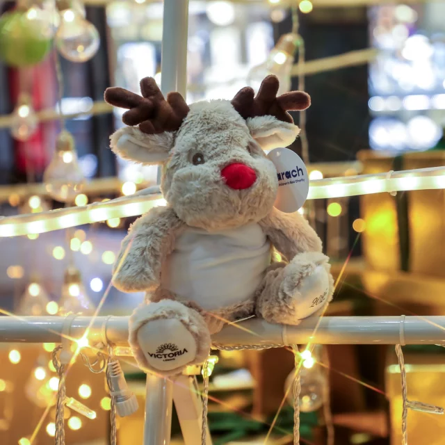 This Christmas, we’re proud to be supporting @zarachcharity , a Leeds-based charity working to end bed poverty for children and provide families with the basics they need for a good night’s sleep. 💜

Visitors can help raise vital funds by purchasing one of our limited-edition Victoria Leeds Snow Hares or Reindeers, beautifully crafted soft toys available for £20 each, with all proceeds going directly to Zarach. 🐇🦌
For each soft toy sold, another will be gifted with each bed bundle that is distributed to a child this Christmas

Because every Christmas story should begin with a good night’s sleep!

✨ Available at Victoria Leeds on 21st and 22nd November - tap to donate will be available at the Snowland Storybook throughout.